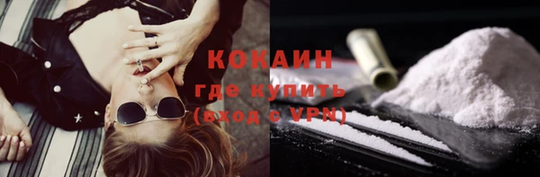 шишки Зеленокумск