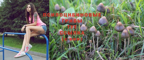 шишки Зеленокумск