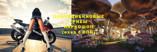 шишки Зеленокумск