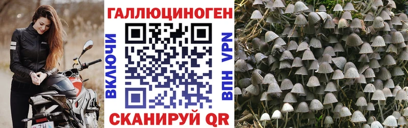 Галлюциногенные грибы Magic Shrooms  Купить где  Заполярный 